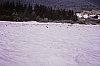 1980 Clan nuova strada - sPioX - campo mobile auronzo-forni di sopra_009.jpg