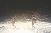 1980 Clan nuova strada - sPioX - campo mobile auronzo-forni di sopra_016.jpg