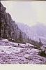 1980 Clan nuova strada - sPioX - campo mobile auronzo-forni di sopra_024.jpg