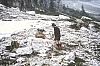 1980 Clan nuova strada - sPioX - campo mobile auronzo-forni di sopra_032.jpg