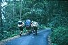 1980 Clan nuova strada - sPioX - campo mobile auronzo-forni di sopra_059.jpg