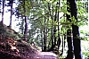 1980 Clan nuova strada - sPioX - campo mobile auronzo-forni di sopra_061.jpg