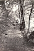 1980 Clan nuova strada - sPioX - campo mobile auronzo-forni di sopra_062.jpg
