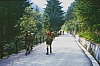 1980 Clan nuova strada - sPioX - campo mobile auronzo-forni di sopra_080.jpg