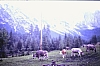 1980 Clan nuova strada - sPioX - campo mobile auronzo-forni di sopra_101.jpg