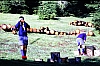1980 Clan nuova strada - sPioX - campo mobile auronzo-forni di sopra_108.jpg