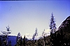 1980 Clan nuova strada - sPioX - campo mobile auronzo-forni di sopra_115.jpg
