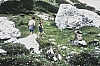 1980 Clan nuova strada - sPioX - campo mobile auronzo-forni di sopra_129.jpg