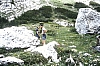 1980 Clan nuova strada - sPioX - campo mobile auronzo-forni di sopra_130.jpg