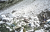 1980 Clan nuova strada - sPioX - campo mobile auronzo-forni di sopra_137.jpg