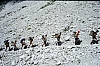 1980 Clan nuova strada - sPioX - campo mobile auronzo-forni di sopra_145.jpg