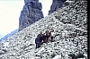 1980 Clan nuova strada - sPioX - campo mobile auronzo-forni di sopra_154.jpg