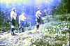 1980 Clan nuova strada - sPioX - campo mobile auronzo-forni di sopra_172.jpg