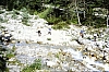 1980 Clan nuova strada - sPioX - campo mobile auronzo-forni di sopra_173.jpg