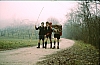 1980 Clan nuova strada - sPioX - uscita molinetto della croda_06.jpg