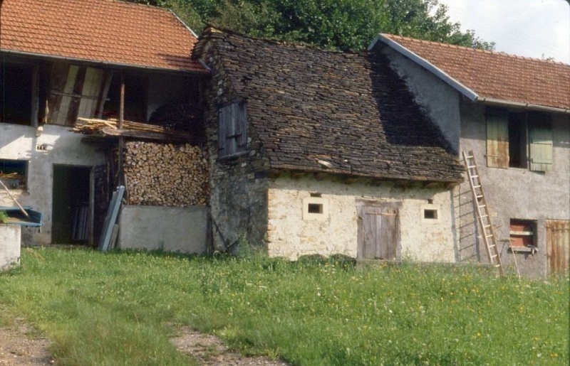 1981 016 Alpago.jpg