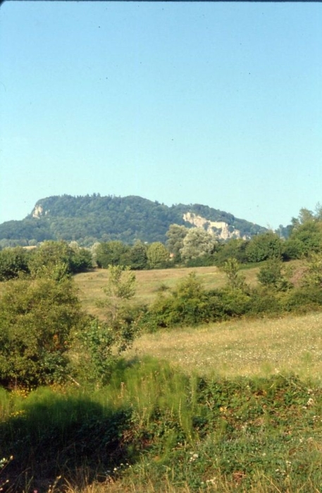 1981 021 Alpago.jpg