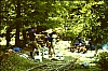 1982 Clan nuova strada - campo naz rover dei monti Ernici - 10 sosta per pranzo.jpg