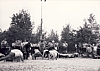 1982 Gruppo TV2 -Festa genitori al Piave - cerchio finale_1.jpg