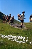 1983 009 Sappada 07.jpg