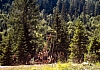 1983 011 Sappada 07.jpg