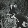 1983 Gruppo TV2° - uscita capi a Schievenin 3.jpg