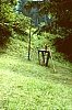 visita al campo di paderno a vallada agordina 2.jpg