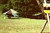 visita al campo di paderno a vallada agordina 3.jpg