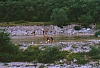 1986 076 Tramonti 14 07.jpg