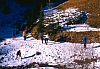 1987 003 Costalta 04 01.jpg