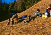 1987 010 Costalta 04 01.jpg
