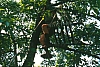 1987 062 Teleferica 07 06.jpg