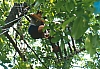 1987 063 Teleferica 07 06.jpg