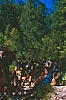 1987 089 Sappada 07.jpg