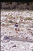 1987 114 Cimolais.jpg