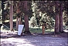 1987 115 Cimolais.jpg