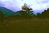1988 014 Claut 07.jpg