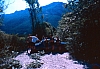1988 047 Claut 07.jpg