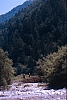 1988 050 Claut 07.jpg
