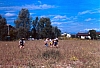 1988 104 TV 09 10.jpg