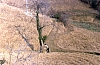 1988 116 Follina 12 11.jpg