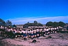 1989 013 S Gio Eraclea 29 04.jpg