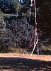 1989 030 Nonta 15 17.jpg