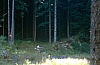 1990 050 Timau 07.jpg