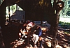 1990 058 Timau 07.jpg