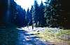 1990 062 Timau 07.jpg