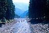 1990 066 Timau 07.jpg