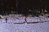 1990 067 Timau 07.jpg