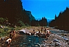 1990 070 Timau 07.jpg