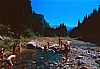 1990 071 Timau 07.jpg